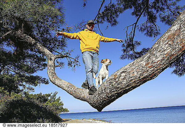 Man balancing with dog on tree branch at the sea