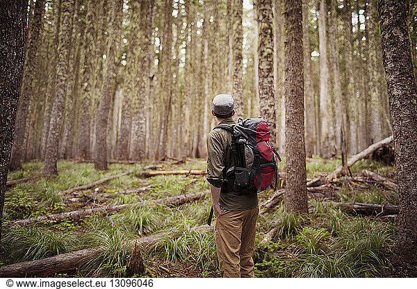 Man carrying backpack while standing in forest