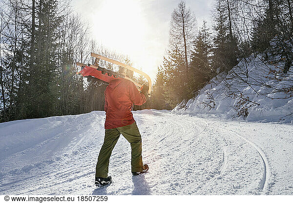 Man carrying his sledge uphill  Tyrol  Austria