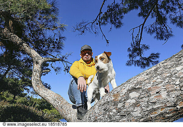 Man crouching on tree branch with pet dog