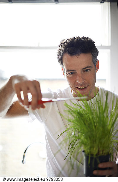 Man cutting potted plant with scissors