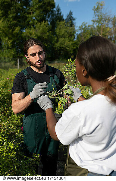 Man discussing plant with black colleague