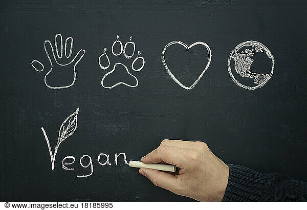 Man drawing vegan concept on blackboard  close-up