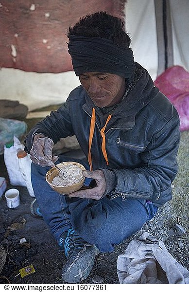 Man eating Tsampa in a nomad camp  Changthang Plateau  Ladakh  Himalayas  India