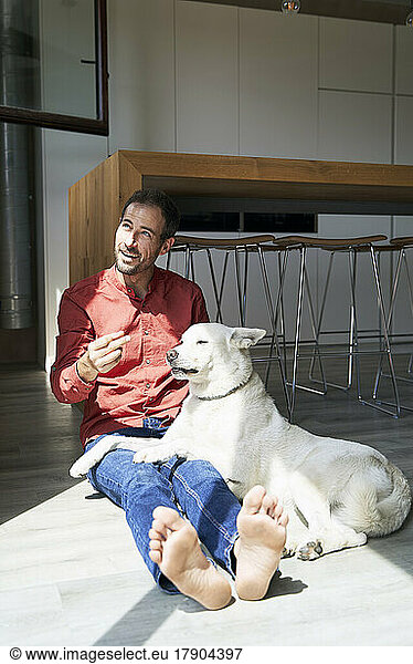 Man gesturing sitting with dog at home on sunny day