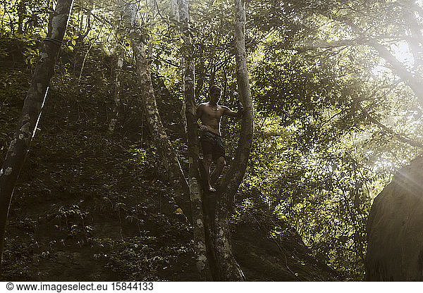 Man hanging from tree