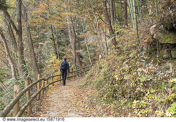 Man hiking forest on Nakasendo Way  Tsumago  Gifu Prefecture  Honshu  Japan  Asia