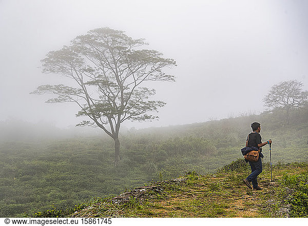 man hiking in the mist of the central highlands in Sri Lanka