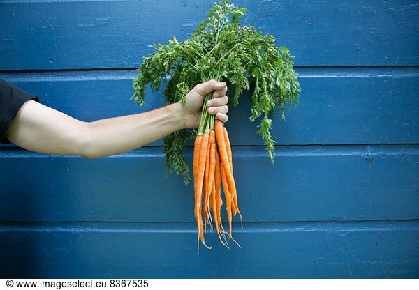 Man holding bunch of organic carrots