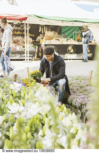 Man holding potted plant while crouching at market