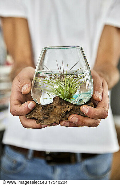 Man holding small plant in glass jar at home