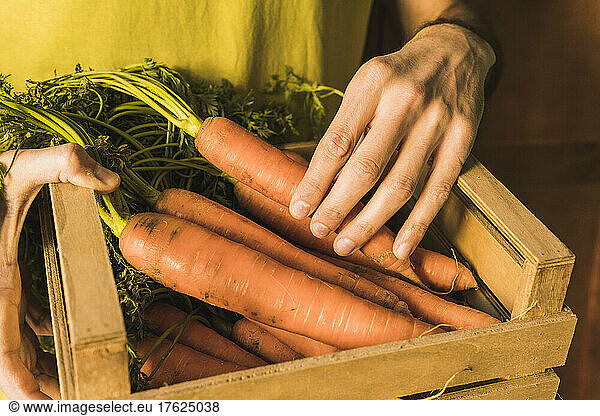 Man holding wooden crate with carrots