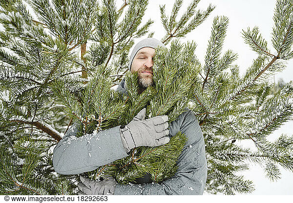 Man hugging pine tree in winter vacation
