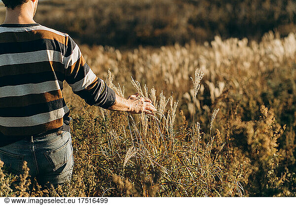 Man In A Field Caressing Dry Grass