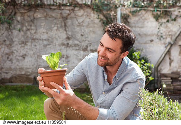 Man in garden tending to plants