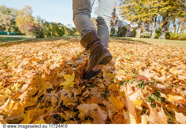 Man in jeans walking in fallen autumn leaves