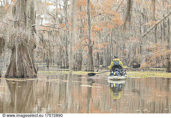 man kayaking in a cypress forest