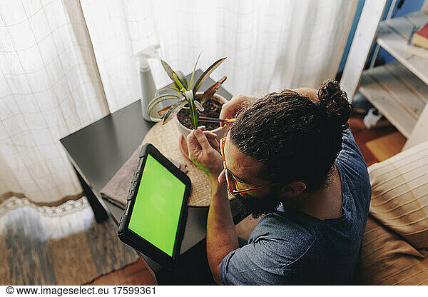 Man learning pruning of plant on tablet PC in living room