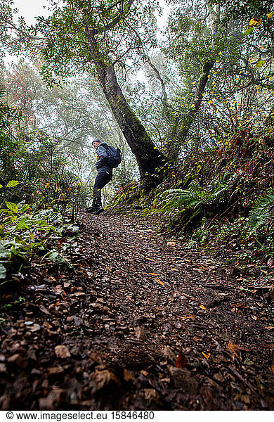 Man looking back while hiking up hill on Northern California trail
