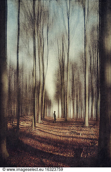 Man on forest path  blurred