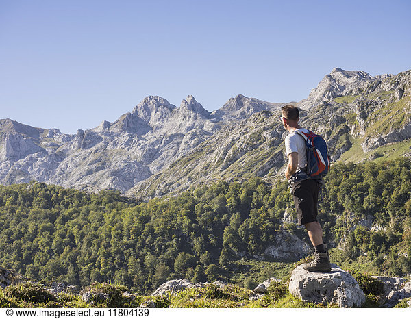 Man on hiking tour in Picos de Europa near Covadonga  Asturias  Northern Spain