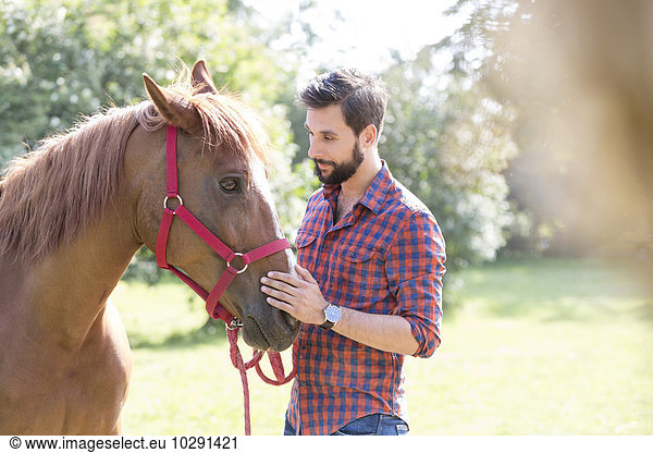 Man petting horse muzzle