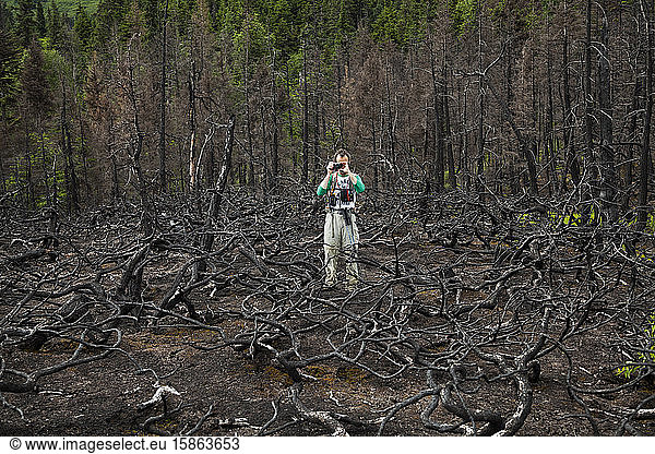 Man photographs burned dead trees  Kenai Peninsula  Alaska