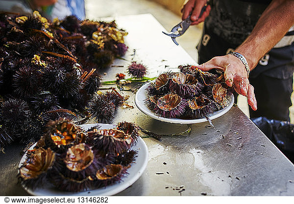 Man preparing and arranging fresh sea urchins