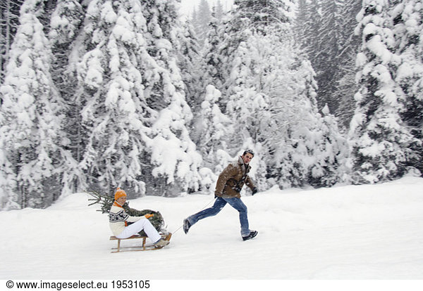 Man pulling sledge with woman holding Christmas tree