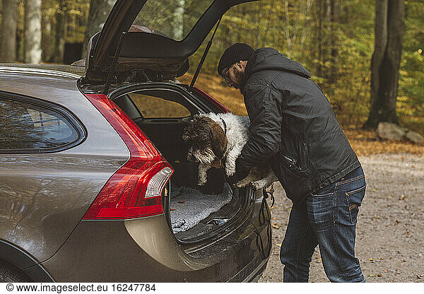 Man putting dog in car boot