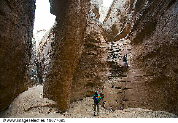 man rappelling in desert slot canyon  Robbers Roost  Utah