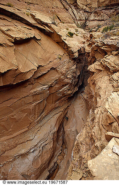 man rappelling into desert canyon  Robbers Roost  Utah