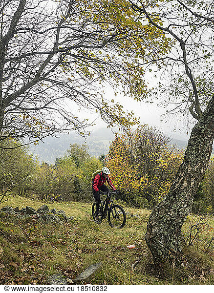 Man riding electric mountain bike on single trail  Vosges  France