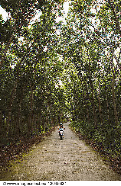 Man riding motor scooter on road amidst trees at forest