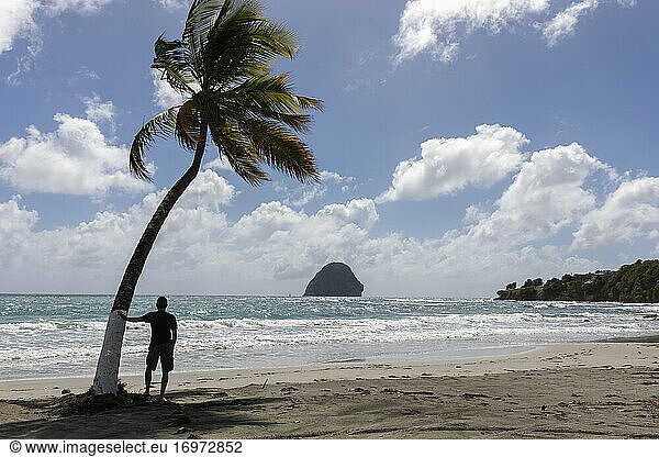 man silhouetted standing on beach with palm-trees in Martinique