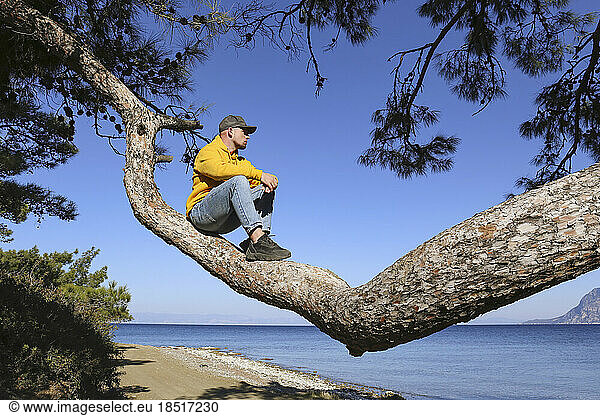 Man sitting on branch of tree looking at distance