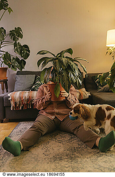 Man sitting with potted plant by dog at home
