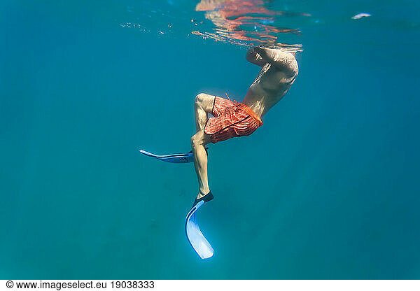 Man snorkeling in Indian Ocean  Permuteran  Bali  Indonesia