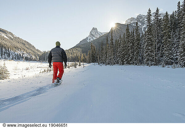Man snowshoes past snowy forest  mountains