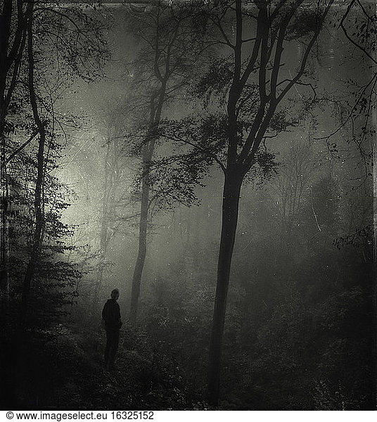 Man standing in gloomy forest Man standing in gloomy forest,caucasian ...