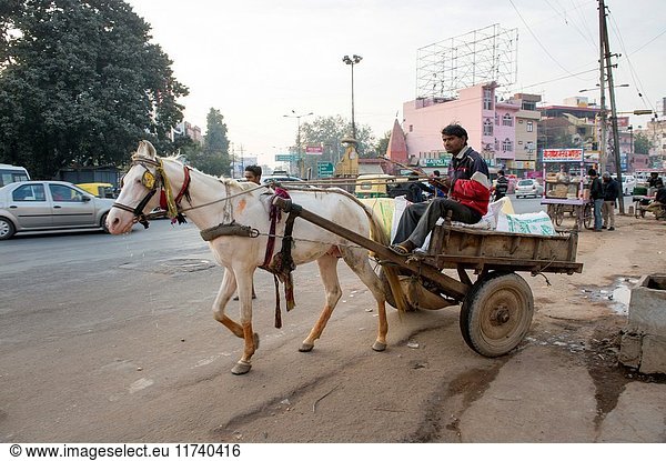 Man steering a horse-drawn cart with goods on the streets of Agra  India.