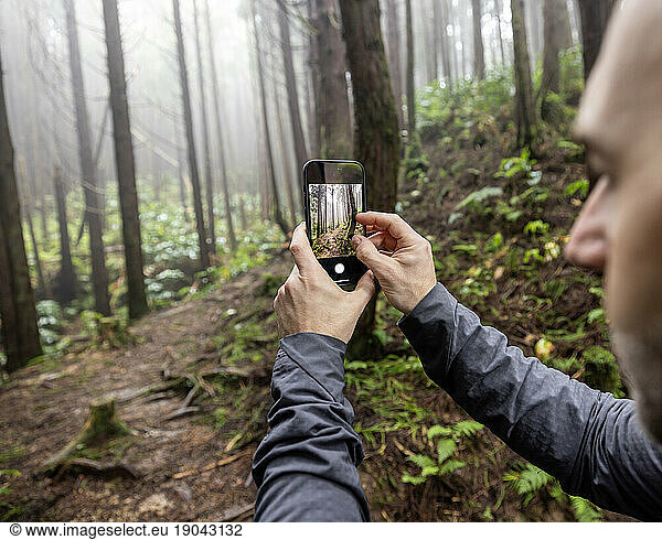 Man takes picture with smartphone in misty forest  Azores