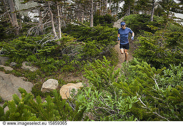 Man trail runs past conifers in Indian Peaks Wilderness  Colorado