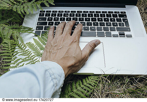 Man using laptop on grass in forest