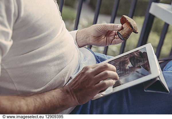 Man using tablet for researching informations about collected mushrooms  partial view