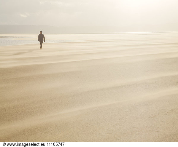 Man walking across a windy beach with dry shifting sands creating a cloud underfoot  West Kirkby  Wirral  England  United Kingdom  Europe