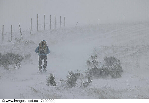 Man walking in the middle of a snowstorm