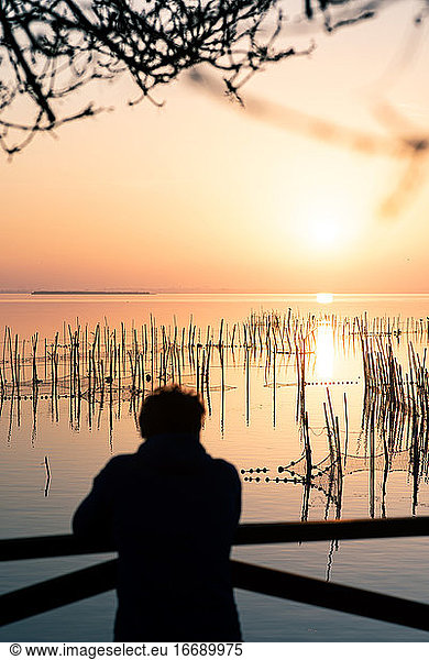 Man watching the sunset at Valencia's Albufera against the light