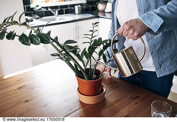 Man watering potted plant at home