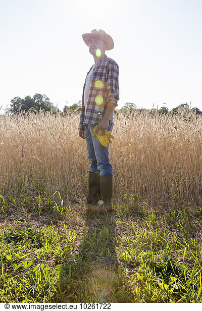 Man wearing a checked shirt and a hat standing in a cornfield  a farmer.